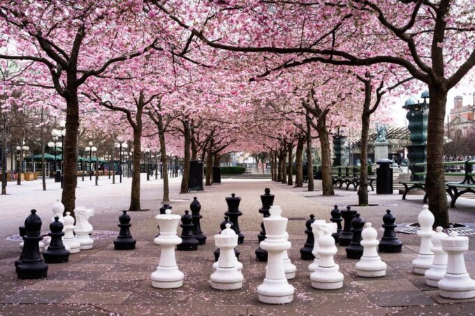All-in-1 Stockholm Tour: Gamla Stan Nobel Museum Amalienborg - Cancellation Policy