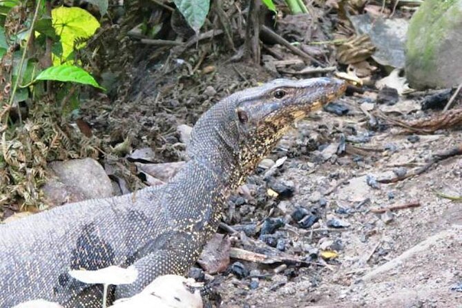 All-in 2N/3D Bukit Lawang Tour For School - Health and Accessibility