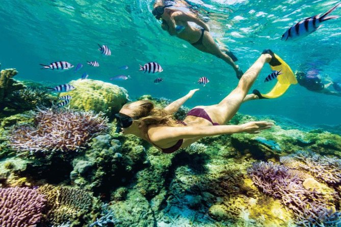 (ALL- IN) Bali Snorkeling Blue Lagoon And Tanjung Jepun - Pickup and Meeting Arrangements