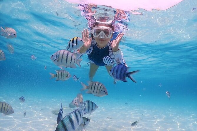 (All- In) Bali Snorkeling Blue Lagoon With Waterfall - Unforgettable Bali Adventure