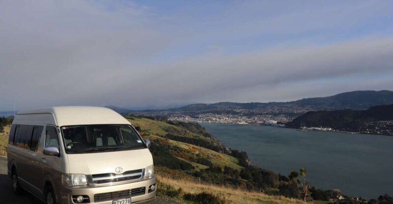All in Dunedin - Nature & City Tour - Experience Highlights