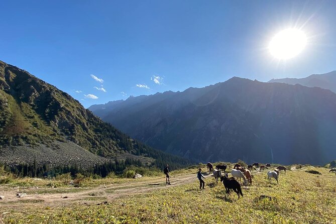 All in One-Day: Bishkek City Tour and Ala-Archa National Park - Pricing and Booking