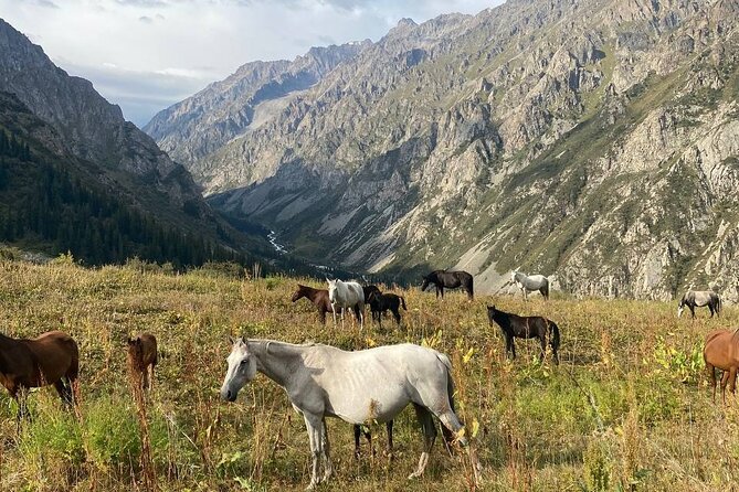All in One-Day: Bishkek City Tour and Ala-Archa National Park - Exploring Ala-Too Square