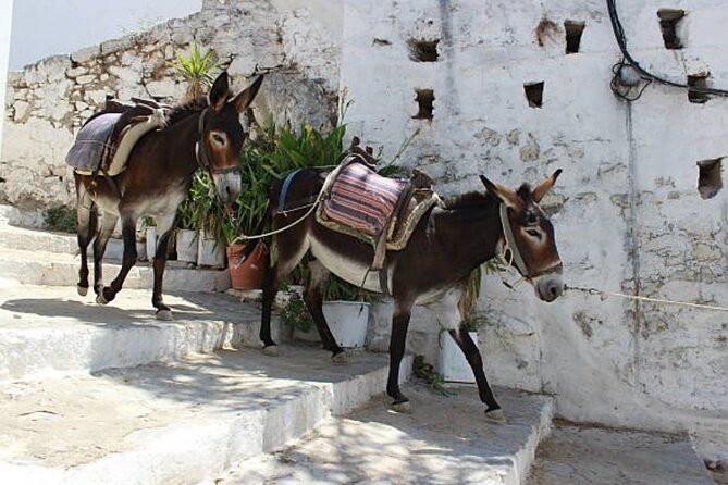 All in One Full Day Rhodes Island Tour for First Time Visitors - Accessibility Information