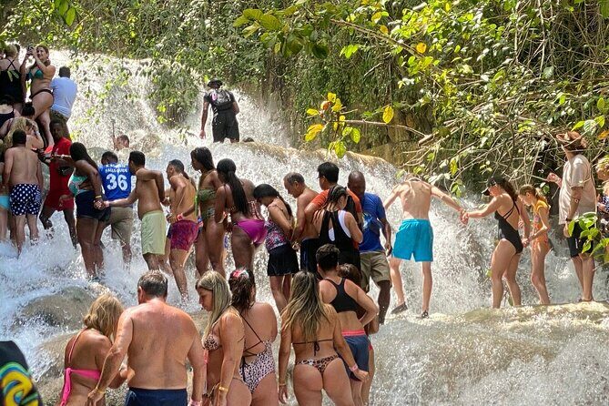 All In One Full Day Tour in Saint Ann Garden Parish Jamaica - Key Points