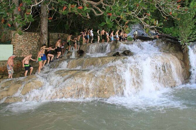 All In One Full Day Tour in Saint Ann Garden Parish Jamaica - Who Will Enjoy This Tour?