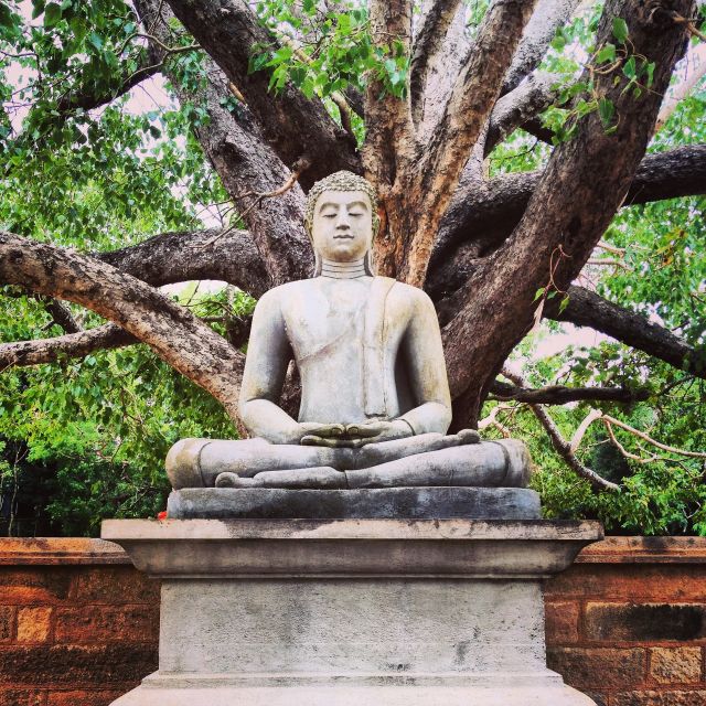 All Include Full-Day Sigiriya, Dambulla, Pidurangala Private - Frequently Asked Questions