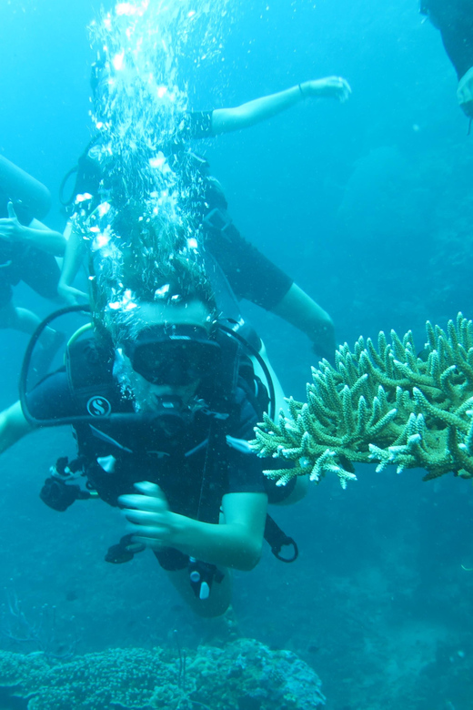 All Include Fun Dive at Menjangan Island - Included Gear and Services
