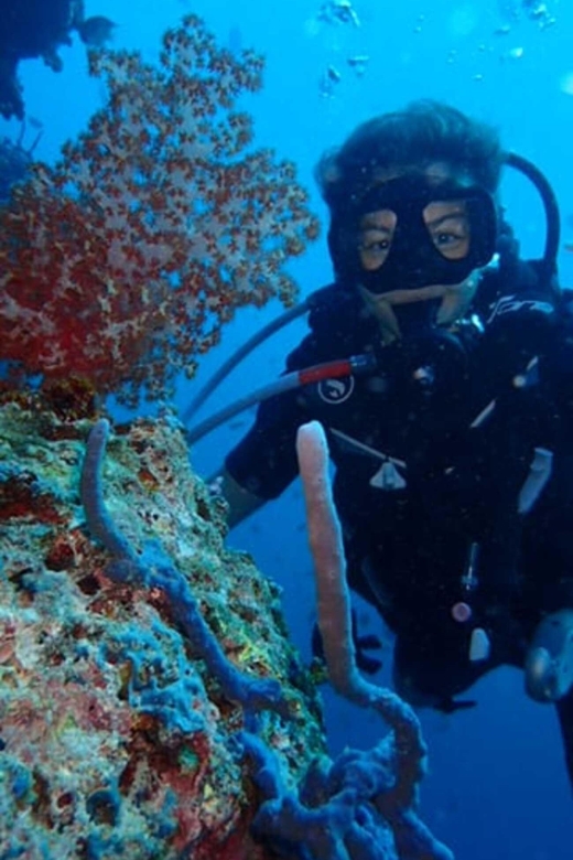 All Include Fun Dive At Menjangan Island - Important Restrictions and Policies