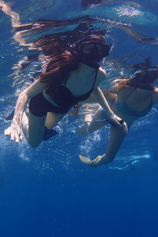 All Include Snorkeling at Menjangan Island - Participant Information