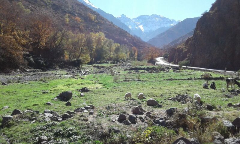 All-Inclusive 2 Days Hiking in the Atlas Mountains - Itinerary Highlights