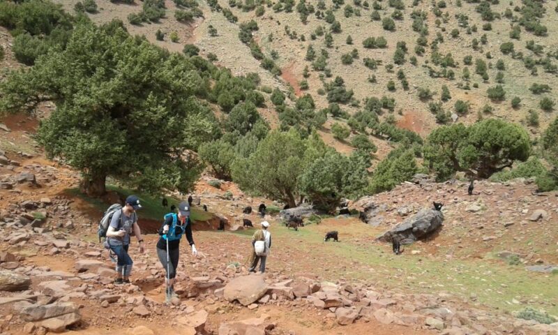 All-Inclusive 2 Days Hiking in the Atlas Mountains - Inclusions
