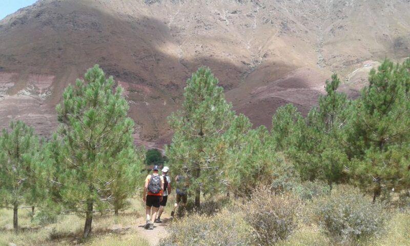 All-Inclusive 2 Days Hiking in the Atlas Mountains - Participant Restrictions
