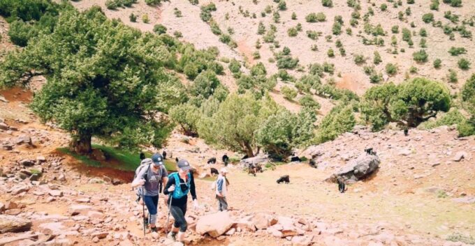 All-Inclusive 2 Days Hiking in the Atlas Mountains - Accommodation and Meals