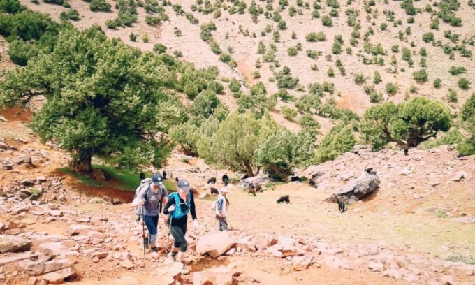 All-Inclusive 2 Days Hiking in the Atlas Mountains - Frequently Asked Questions