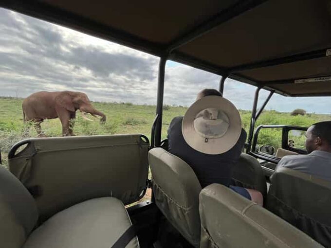 All Inclusive 3 Day Kruger Safari From Nelspruit - Dining and Cuisine
