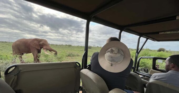 All Inclusive 3 Day Kruger Safari From Nelspruit - Frequently Asked Questions