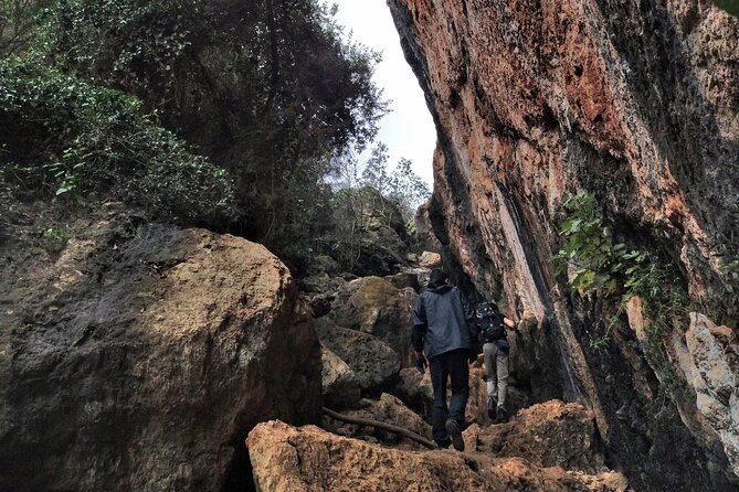 All Inclusive Adventure Trail Climbing Experience - Traveler Reviews and Ratings