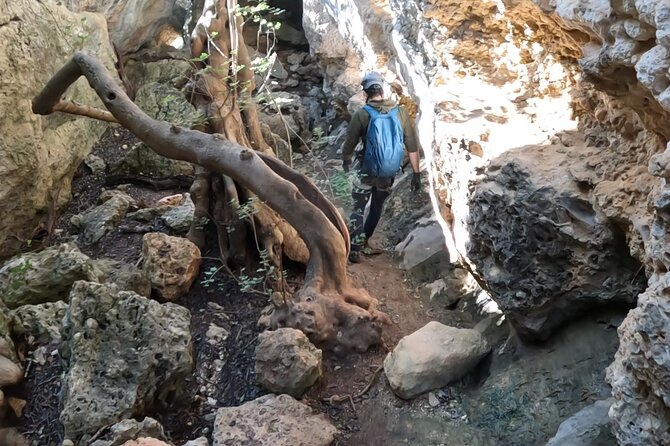 All Inclusive Adventure Trail Climbing Experience - Physical Requirements