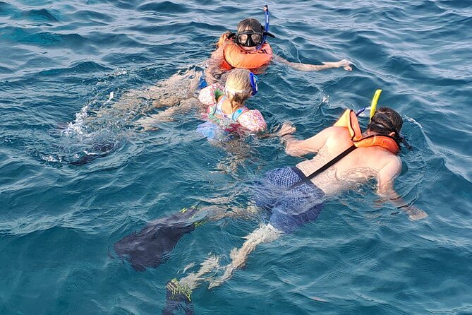 All Inclusive Afternoon Sunset Snorkel Tour - Concerns and Critiques