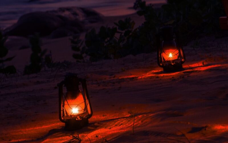 All-Inclusive Afternoon Yala Safari With Beach BBQ Dinner - Safari Experience
