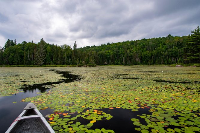 All-Inclusive Algonquin Backcountry Canoe Experience - Additional Information