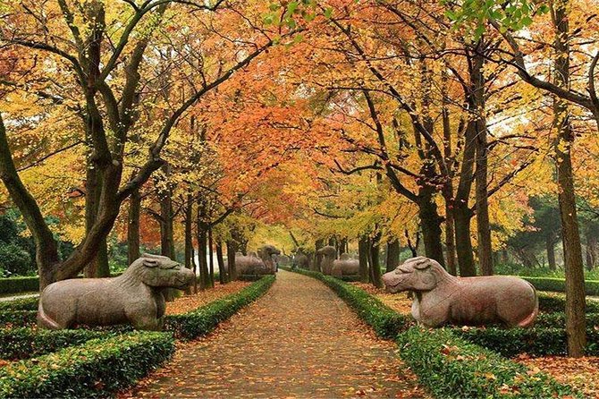 All Inclusive Amazing Nanjing City Highlights Private Day Tour - Sun Yatsen Mausoleum Visit