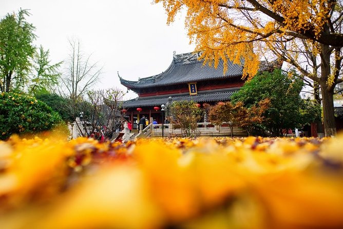 All Inclusive Amazing Nanjing City Highlights Private Day Tour - Tour Accessibility and Options