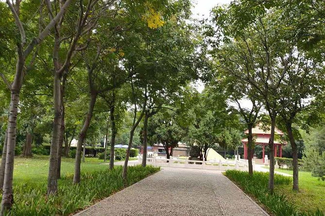 All Inclusive Anyang Yin Xu Ruins and Character Museum Day Tour From Zhengzhou - Shang Dynasty Culture