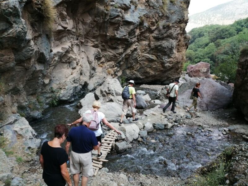 All-Inclusive Atlas Mountains & Agafay Trip With Camel Ride - Customer Feedback and Ratings