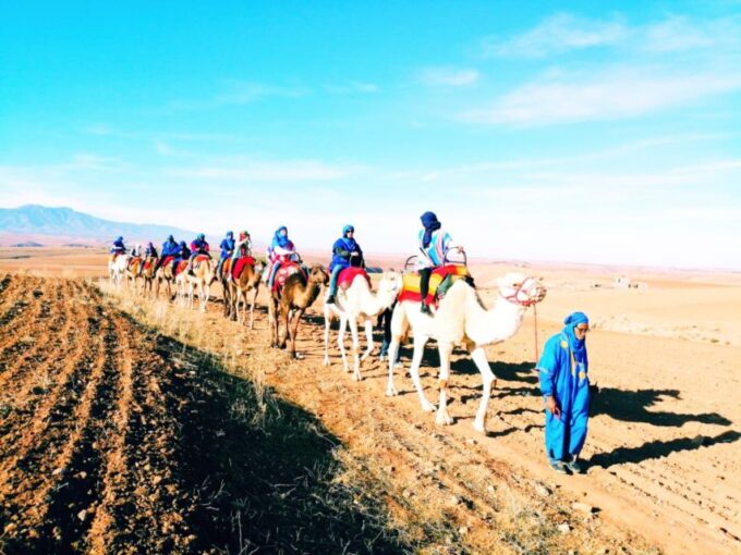 All-Inclusive Atlas Mountains & Agafay Trip With Camel Ride - Camel Ride Experience