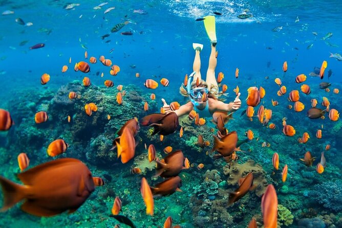 All Inclusive: ATV - Quad Ride and Bali Blue Lagoon Snorkeling - Reviews and Customer Feedback