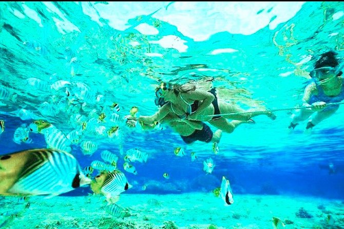 All Inclusive : Bali Blue Lagoon Snorkeling, Lunch, and Transport - Activity Upgrades