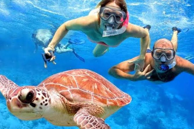All Inclusive Bali Blue Lagoon Snorkeling With Lunch and Transport - Snorkeling at Tanjung Jepun