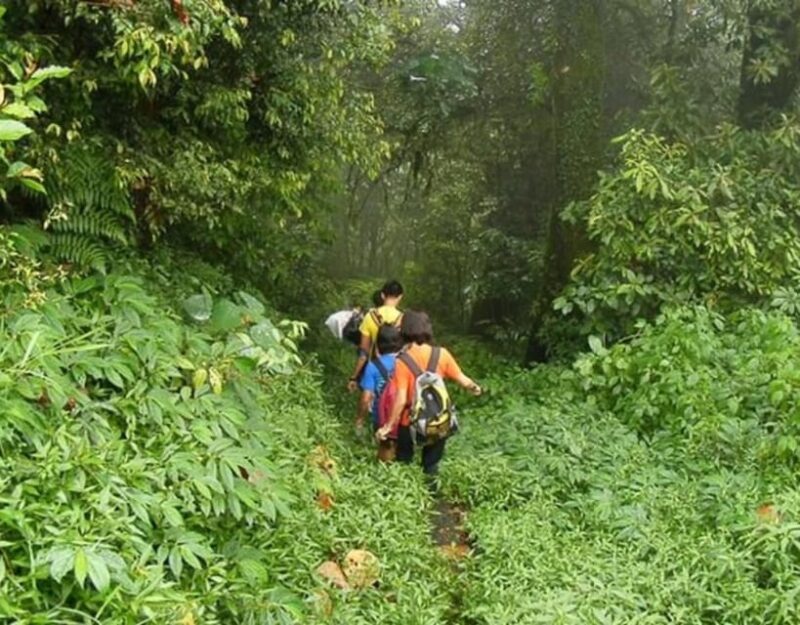 All-Inclusive: Bali Jungle Trekking & Lake Canoeing Tour - Reserve Now and Pay Later