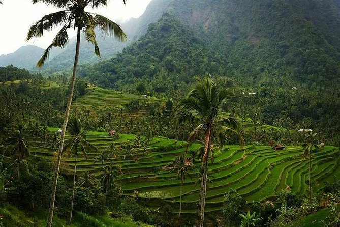All Inclusive Bali Sekumpul Waterfalls Trekking Tour - Navigating the Motorbike Ride