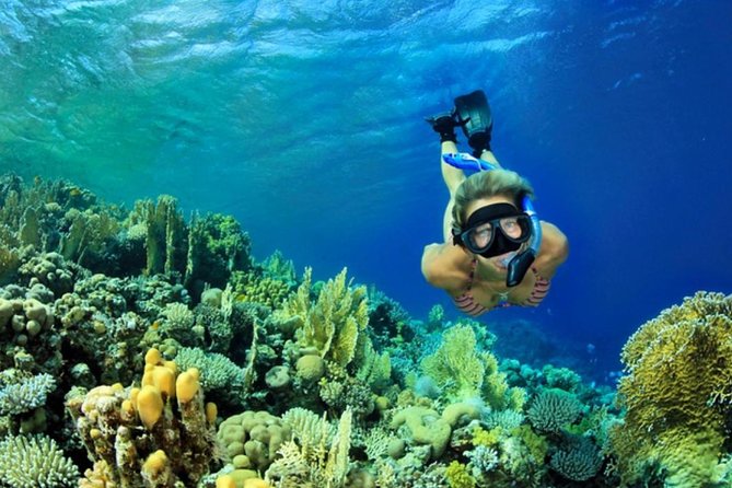 All INCLUSIVE Bali Snorkeling at Blue Lagoon and Tanjung Jepun - Inclusions