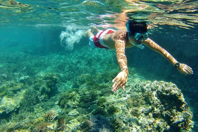 All INCLUSIVE Bali Snorkeling at Blue Lagoon and Tanjung Jepun - Snorkeling Experience