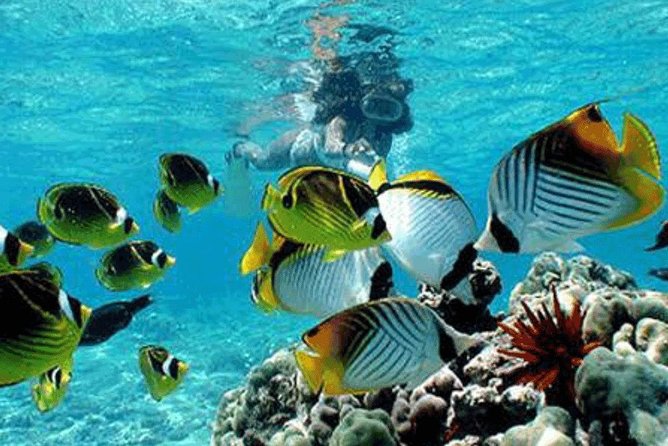 All Inclusive Bali Snorkeling Blue Lagoon Tour Experience - Health and Safety Concerns