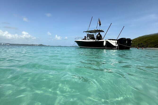 All Inclusive Beach & Snorkeling Tour at Icacos & Palomino Island - In Closing
