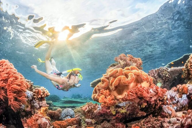 All Inclusive: Blue Lagoon Snorkeling & the Bats Cave Temple - Snorkeling With Tropical Fish and Sea Turtles