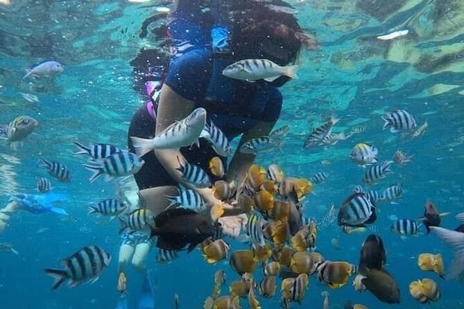 All Inclusive Blue Lagoon Snorkeling With Bali ATV Quad Adventure - Tour Operator and Reliability
