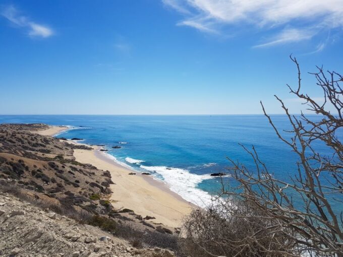 All-Inclusive Cabo Pulmo Jeep Tour - Included in the Tour