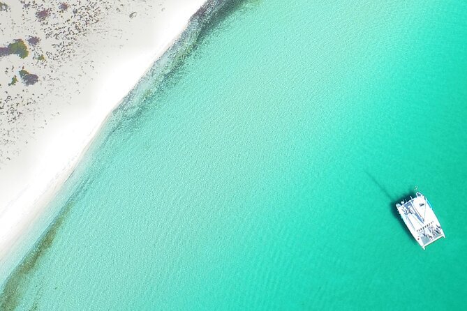 All-Inclusive Catamaran Espiritu Santo Island Tour From Los Cabos - Marine Life Encounters