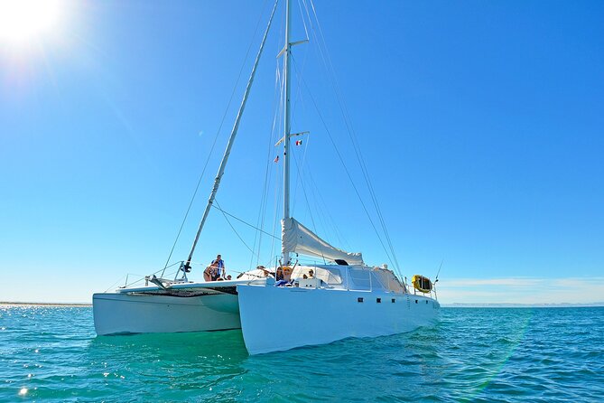 All-Inclusive Catamaran Espiritu Santo Island Tour From Los Cabos - Accessibility Considerations