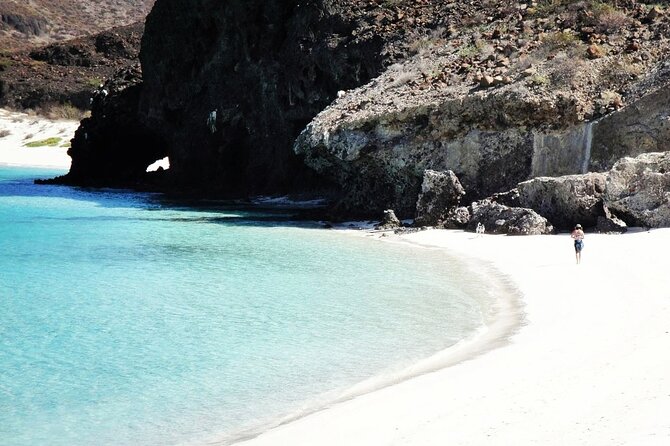 All-Inclusive Catamaran Tour | Beaches & Sea Lions From Los Cabos - Itinerary and Activities