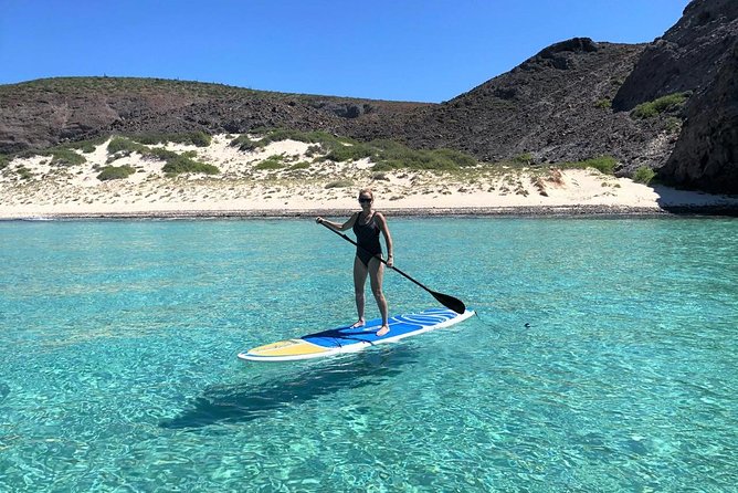 All-Inclusive Catamaran Tour | Beaches & Sea Lions From Los Cabos - Guest Experiences and Reviews