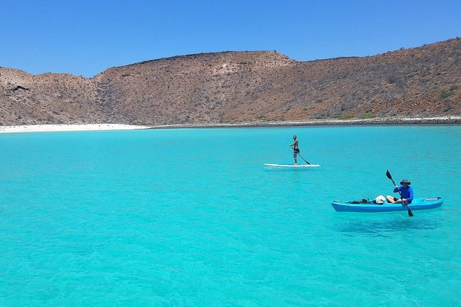 All-Inclusive Catamaran Tour | Beaches & Sea Lions From Los Cabos - Delectable Onboard Cuisine