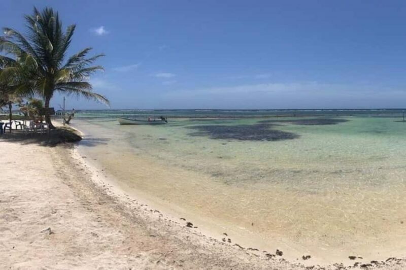 All-Inclusive Costa Maya Beach Break with Open Bar - The Downsides and Practical Considerations
