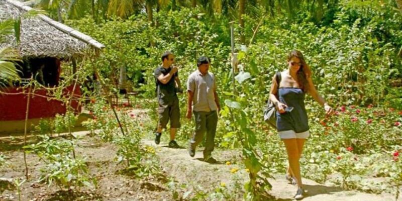 All-Inclusive Dambulla Village Tour With Traditional Lunch - Itinerary and Activities